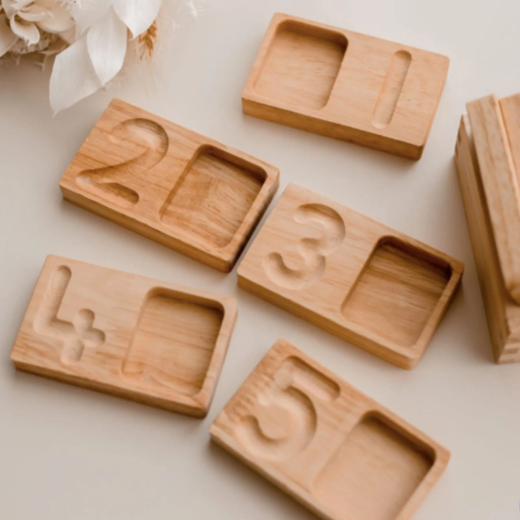 Counting   Writing Tray