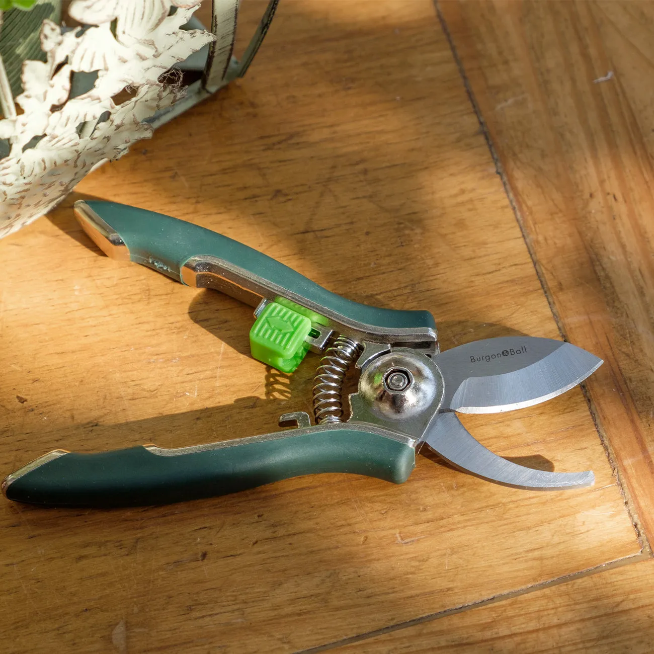 Houseplant Pruner