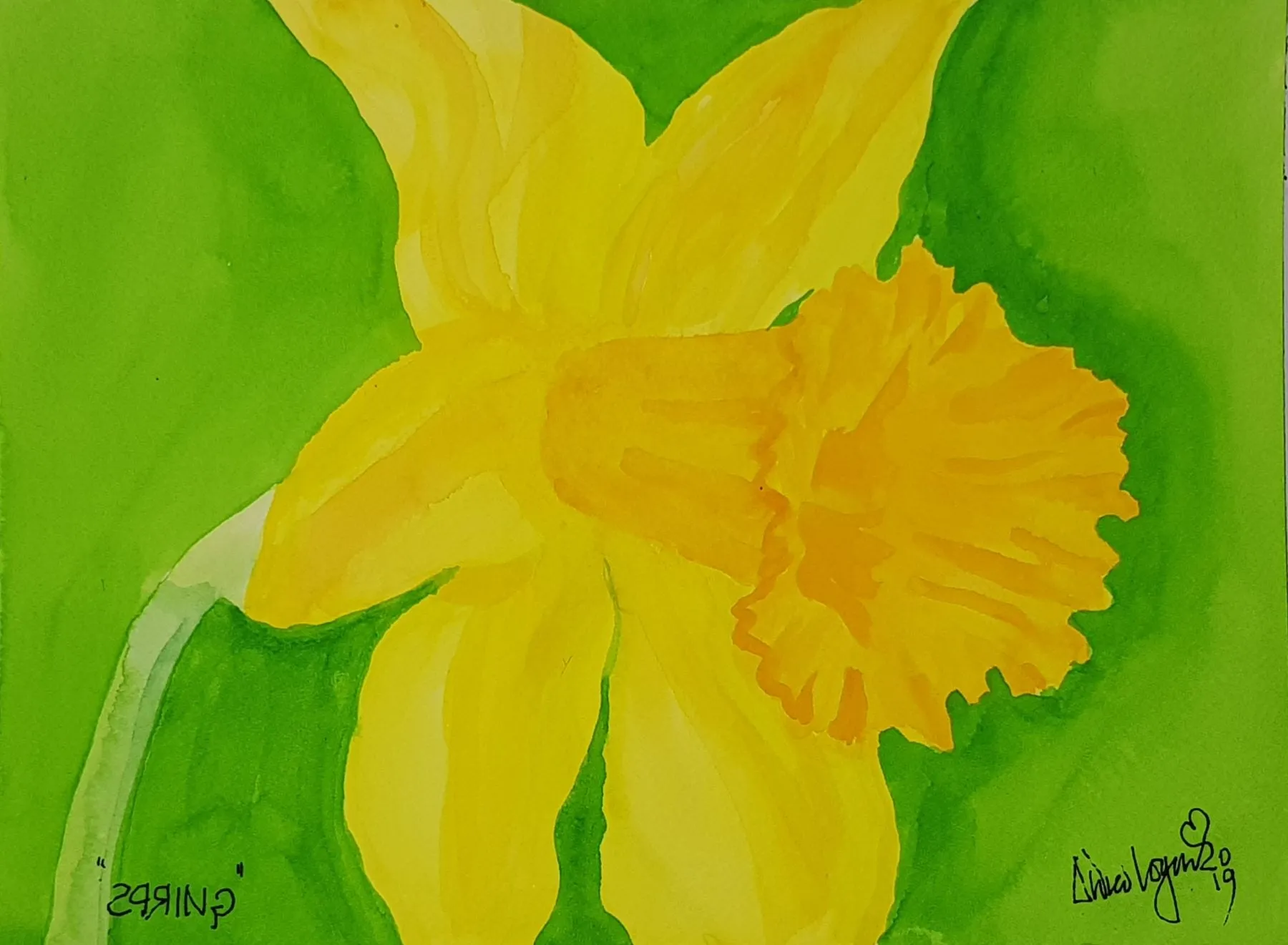 ORIGINAL WATERCOLOUR OF A YELLOW DAFFODIL,WALES  - BY ANDREW LOGAN 2019