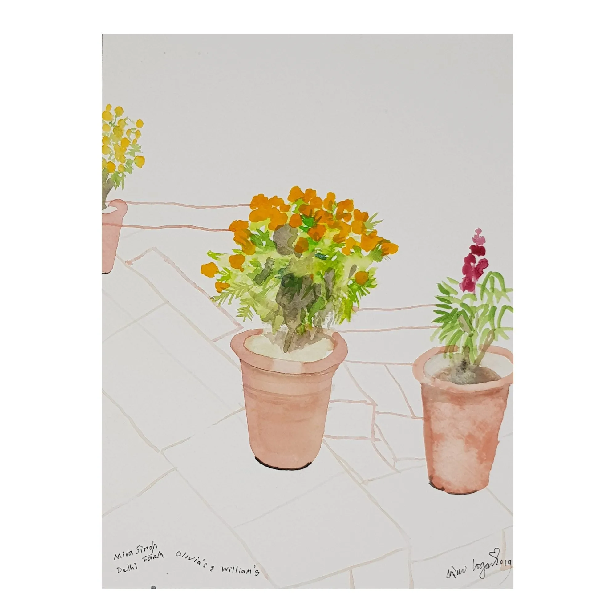 ORIGINAL WATERCOLOUR OF POTS OF FLOWERS, DELHI - BY ANDREW LOGAN 2019