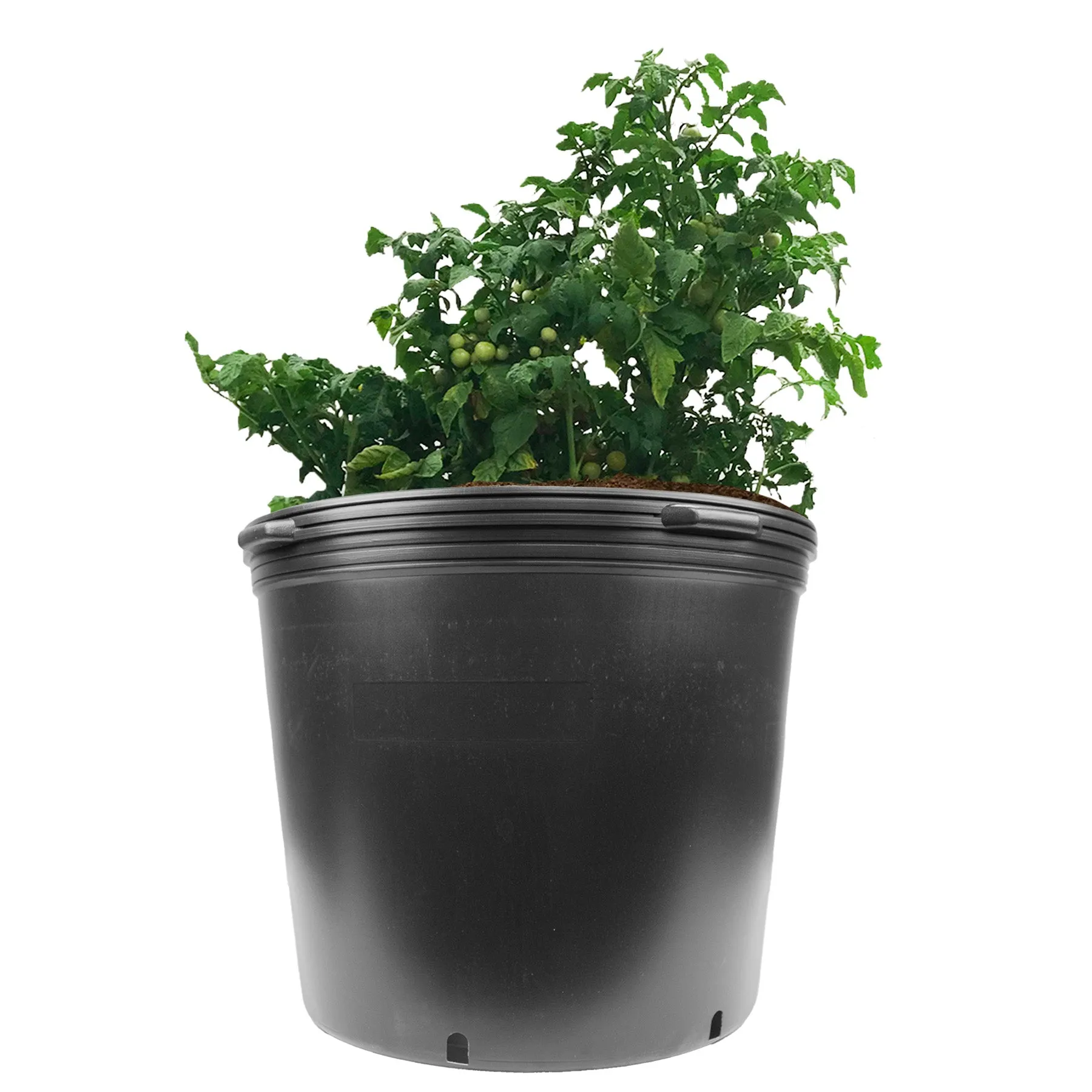 Viagrow 20 Gallon Nursery Pot (EA)